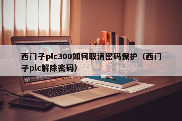 西门子plc300如何取消密码保护（西门子plc解除密码）-第1张图片-晋江速捷自动化科技有限公司