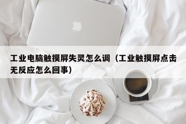 工业电脑触摸屏失灵怎么调（工业触摸屏点击无反应怎么回事）-第1张图片-晋江速捷自动化科技有限公司