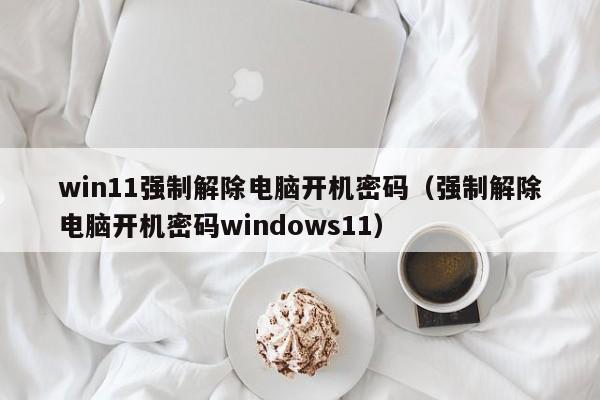 win11强制解除电脑开机密码（强制解除电脑开机密码windows11）-第1张图片-晋江速捷自动化科技有限公司