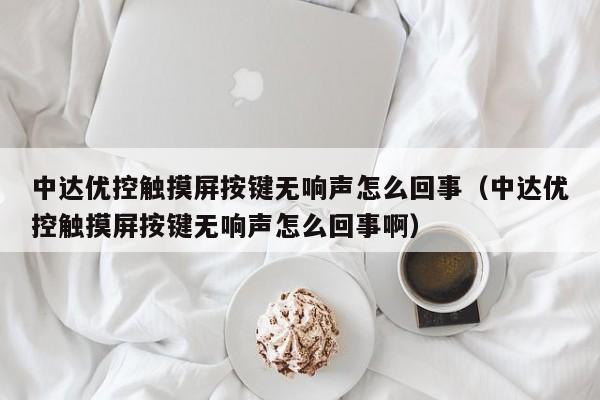 中达优控触摸屏按键无响声怎么回事（中达优控触摸屏按键无响声怎么回事啊）-第1张图片-晋江速捷自动化科技有限公司