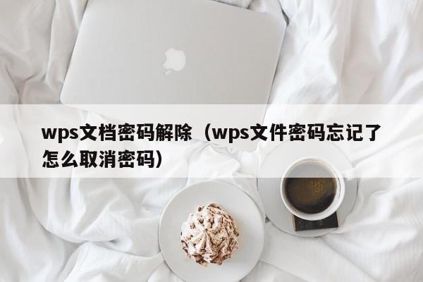 wps文档密码解除（wps文件密码忘记了怎么取消密码）-第1张图片-晋江速捷自动化科技有限公司