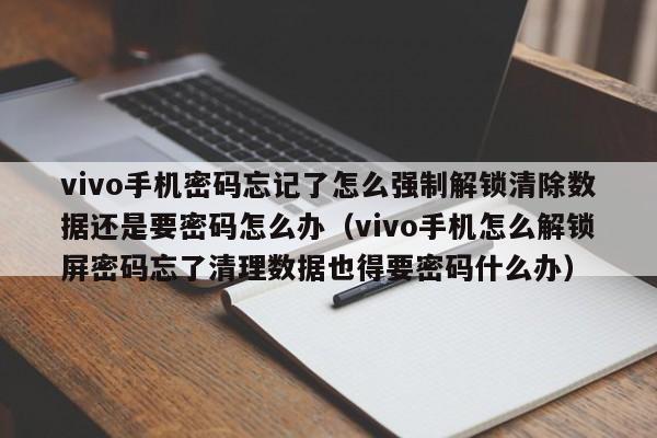 vivo手机密码忘记了怎么强制解锁清除数据还是要密码怎么办（vivo手机怎么解锁屏密码忘了清理数据也得要密码什么办）-第1张图片-晋江速捷自动化科技有限公司