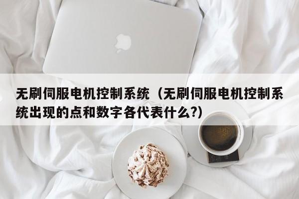 无刷伺服电机控制系统（无刷伺服电机控制系统出现的点和数字各代表什么?）-第1张图片-晋江速捷自动化科技有限公司