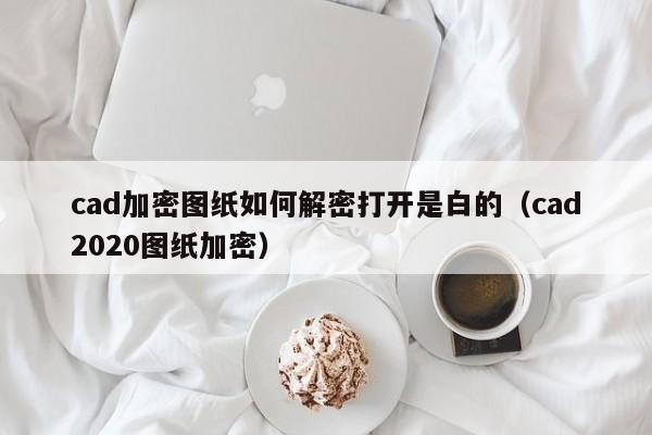 cad加密图纸如何解密打开是白的（cad2020图纸加密）-第1张图片-晋江速捷自动化科技有限公司