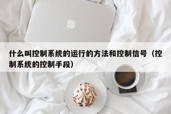 什么叫控制系统的运行的方法和控制信号（控制系统的控制手段）-第1张图片-晋江速捷自动化科技有限公司