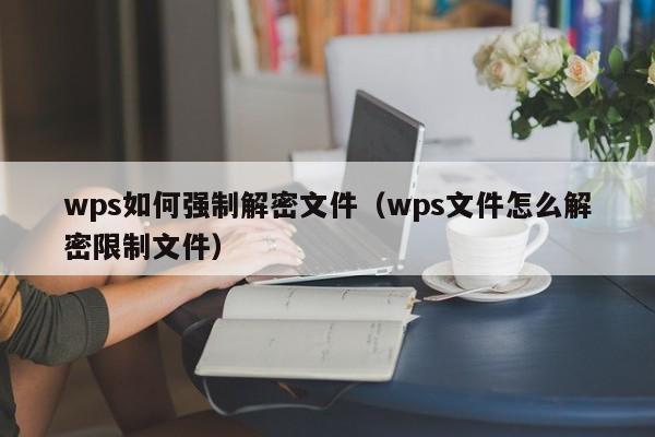 wps如何强制解密文件（wps文件怎么解密限制文件）-第1张图片-晋江速捷自动化科技有限公司