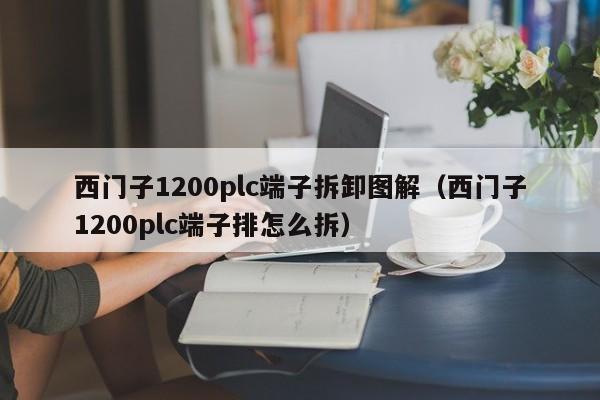 西门子1200plc端子拆卸图解（西门子1200plc端子排怎么拆）-第1张图片-晋江速捷自动化科技有限公司