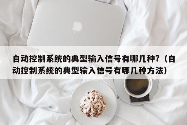 自动控制系统的典型输入信号有哪几种?（自动控制系统的典型输入信号有哪几种方法）-第1张图片-晋江速捷自动化科技有限公司