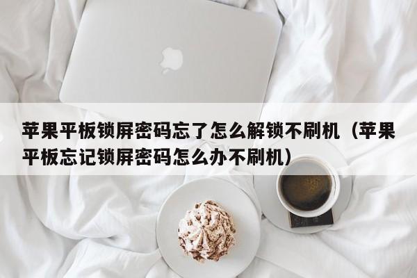 苹果平板锁屏密码忘了怎么解锁不刷机（苹果平板忘记锁屏密码怎么办不刷机）-第1张图片-晋江速捷自动化科技有限公司