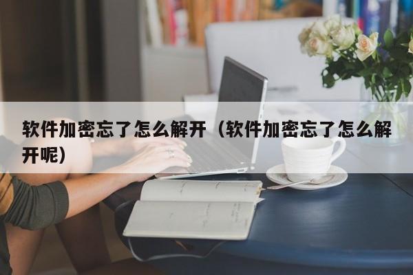 软件加密忘了怎么解开（软件加密忘了怎么解开呢）-第1张图片-晋江速捷自动化科技有限公司