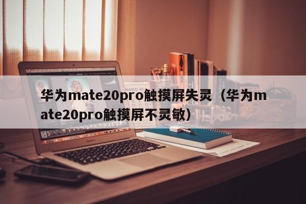 华为mate20pro触摸屏失灵（华为mate20pro触摸屏不灵敏）-第1张图片-晋江速捷自动化科技有限公司