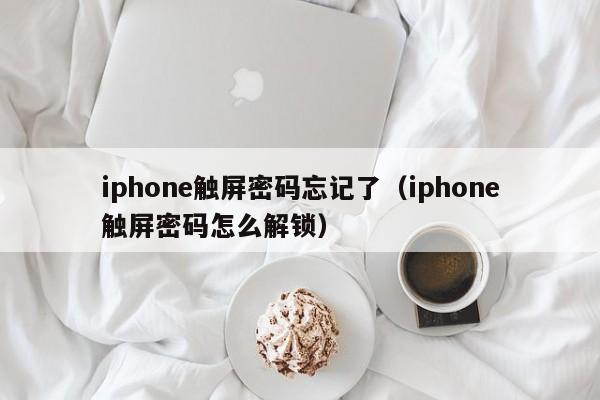 iphone触屏密码忘记了（iphone触屏密码怎么解锁）-第1张图片-晋江速捷自动化科技有限公司