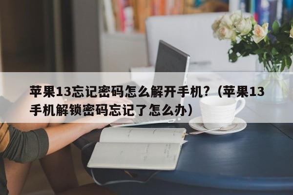 苹果13忘记密码怎么解开手机?（苹果13手机解锁密码忘记了怎么办）-第1张图片-晋江速捷自动化科技有限公司