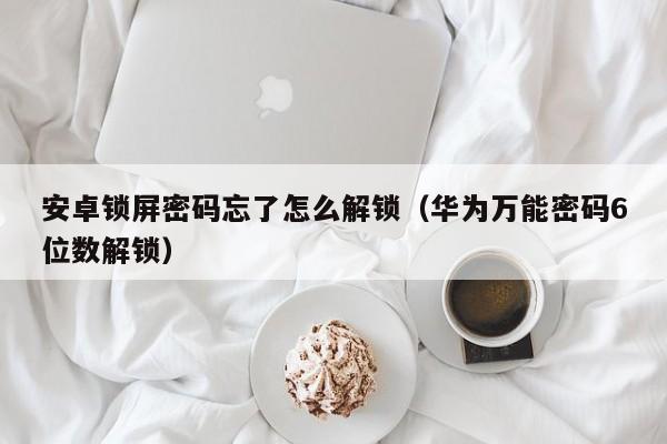 安卓锁屏密码忘了怎么解锁（华为万能密码6位数解锁）-第1张图片-晋江速捷自动化科技有限公司