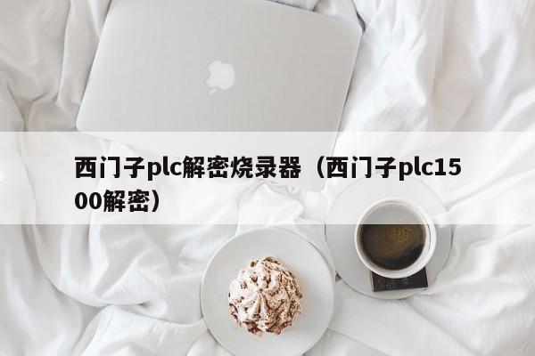 西门子plc解密烧录器（西门子plc1500解密）-第1张图片-晋江速捷自动化科技有限公司