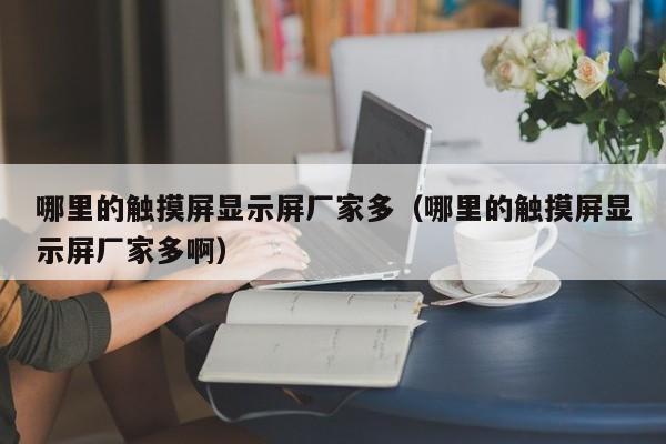 哪里的触摸屏显示屏厂家多（哪里的触摸屏显示屏厂家多啊）-第1张图片-晋江速捷自动化科技有限公司