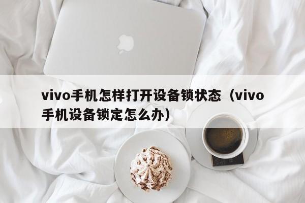 vivo手机怎样打开设备锁状态（vivo手机设备锁定怎么办）-第1张图片-晋江速捷自动化科技有限公司