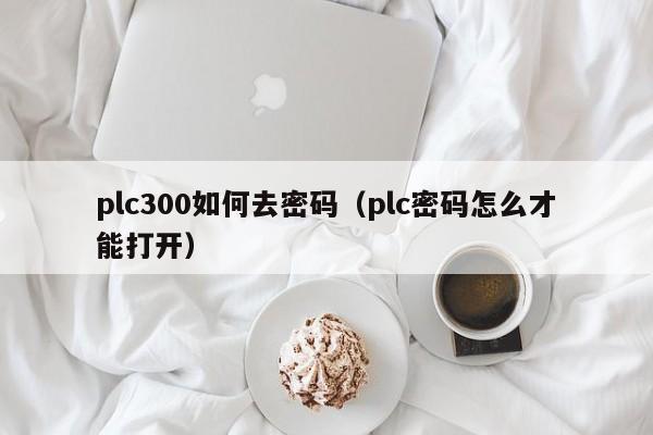 plc300如何去密码（plc密码怎么才能打开）-第1张图片-晋江速捷自动化科技有限公司