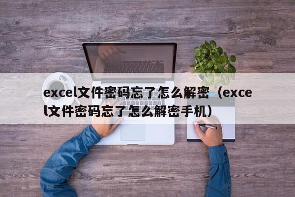 excel文件密码忘了怎么解密（excel文件密码忘了怎么解密手机）-第1张图片-晋江速捷自动化科技有限公司