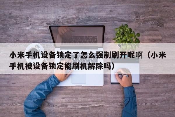 小米手机设备锁定了怎么强制刷开呢啊（小米手机被设备锁定能刷机解除吗）-第1张图片-晋江速捷自动化科技有限公司