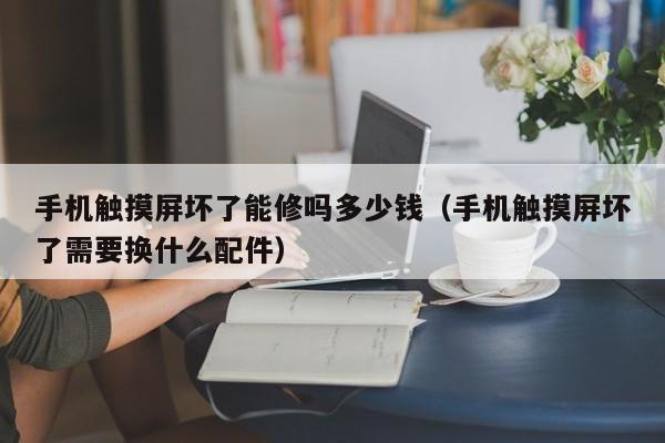 手机触摸屏坏了能修吗多少钱（手机触摸屏坏了需要换什么配件）-第1张图片-晋江速捷自动化科技有限公司