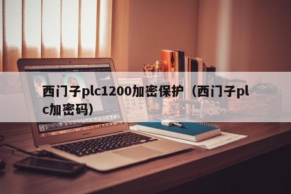 西门子plc1200加密保护（西门子plc加密码）-第1张图片-晋江速捷自动化科技有限公司