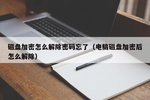 磁盘加密怎么解除密码忘了（电脑磁盘加密后怎么解除）-第1张图片-晋江速捷自动化科技有限公司