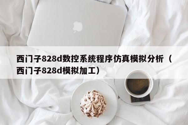 西门子828d数控系统程序仿真模拟分析（西门子828d模拟加工）-第1张图片-晋江速捷自动化科技有限公司