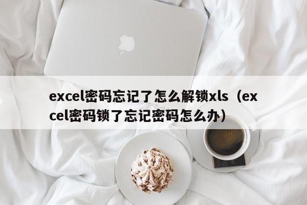 excel密码忘记了怎么解锁xls（excel密码锁了忘记密码怎么办）-第1张图片-晋江速捷自动化科技有限公司