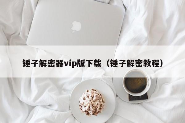 锤子解密器vip版下载（锤子解密教程）-第1张图片-晋江速捷自动化科技有限公司