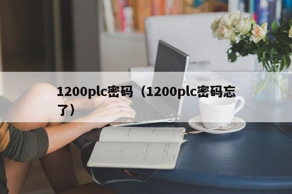 1200plc密码（1200plc密码忘了）-第1张图片-晋江速捷自动化科技有限公司