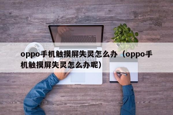 oppo手机触摸屏失灵怎么办（oppo手机触摸屏失灵怎么办呢）-第1张图片-晋江速捷自动化科技有限公司