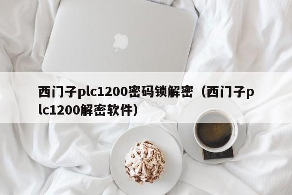 西门子plc1200密码锁解密（西门子plc1200解密软件）-第1张图片-晋江速捷自动化科技有限公司