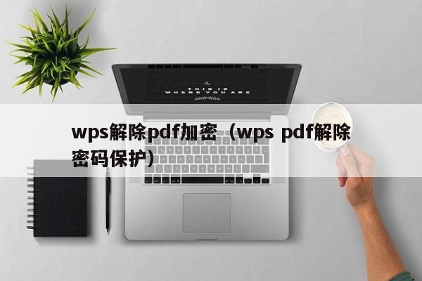 wps解除pdf加密（wps pdf解除密码保护）-第1张图片-晋江速捷自动化科技有限公司