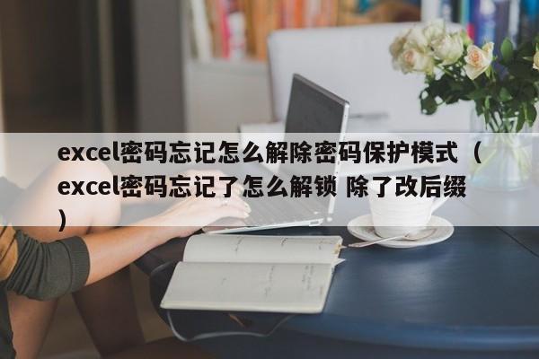 excel密码忘记怎么解除密码保护模式（excel密码忘记了怎么解锁 除了改后缀）-第1张图片-晋江速捷自动化科技有限公司