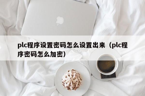 plc程序设置密码怎么设置出来（plc程序密码怎么加密）-第1张图片-晋江速捷自动化科技有限公司