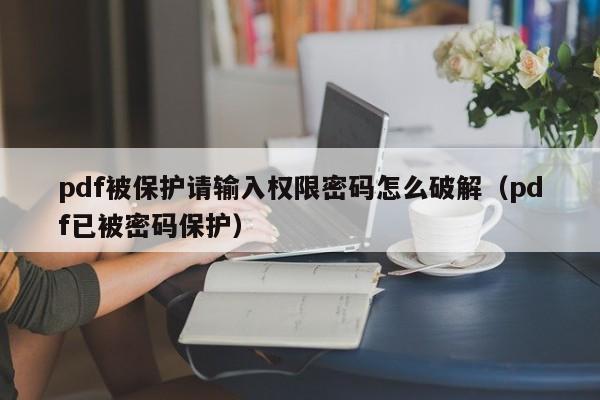 pdf被保护请输入权限密码怎么破解（pdf已被密码保护）-第1张图片-晋江速捷自动化科技有限公司