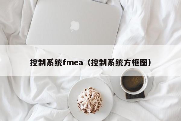 控制系统fmea（控制系统方框图）-第1张图片-晋江速捷自动化科技有限公司