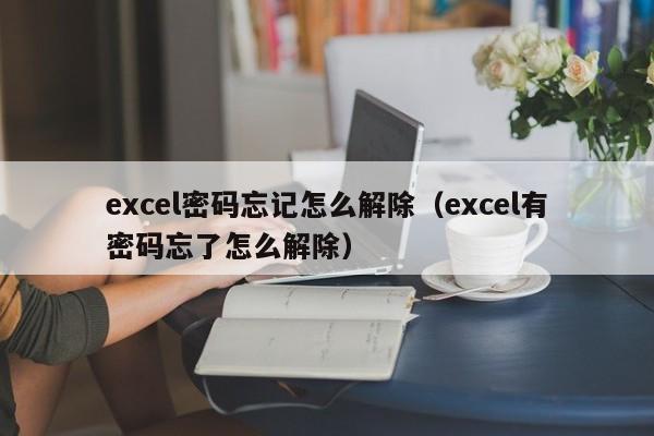 excel密码忘记怎么解除（excel有密码忘了怎么解除）-第1张图片-晋江速捷自动化科技有限公司