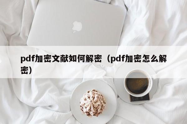 pdf加密文献如何解密（pdf加密怎么解密）-第1张图片-晋江速捷自动化科技有限公司