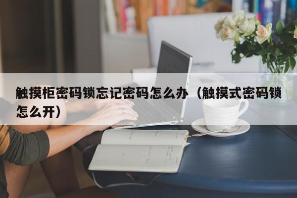 触摸柜密码锁忘记密码怎么办（触摸式密码锁怎么开）-第1张图片-晋江速捷自动化科技有限公司