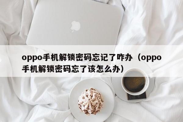 oppo手机解锁密码忘记了咋办（oppo手机解锁密码忘了该怎么办）-第1张图片-晋江速捷自动化科技有限公司