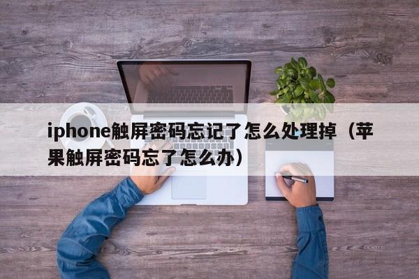 iphone触屏密码忘记了怎么处理掉（苹果触屏密码忘了怎么办）-第1张图片-晋江速捷自动化科技有限公司