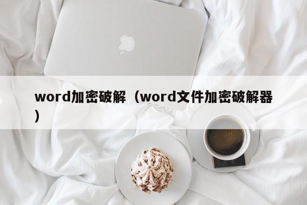 word加密破解（word文件加密破解器）-第1张图片-晋江速捷自动化科技有限公司