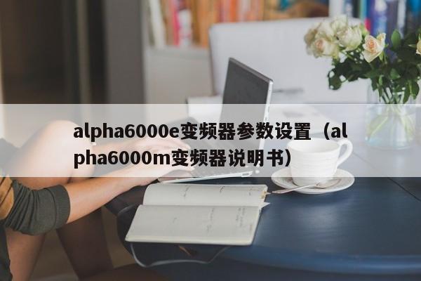 alpha6000e变频器参数设置（alpha6000m变频器说明书）-第1张图片-晋江速捷自动化科技有限公司