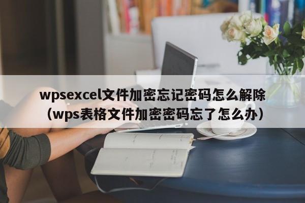 wpsexcel文件加密忘记密码怎么解除（wps表格文件加密密码忘了怎么办）-第1张图片-晋江速捷自动化科技有限公司