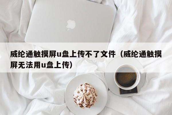 威纶通触摸屏u盘上传不了文件（威纶通触摸屏无法用u盘上传）-第1张图片-晋江速捷自动化科技有限公司