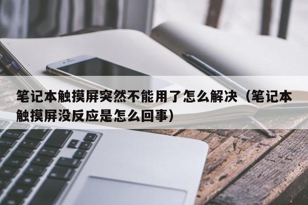 笔记本触摸屏突然不能用了怎么解决（笔记本触摸屏没反应是怎么回事）-第1张图片-晋江速捷自动化科技有限公司