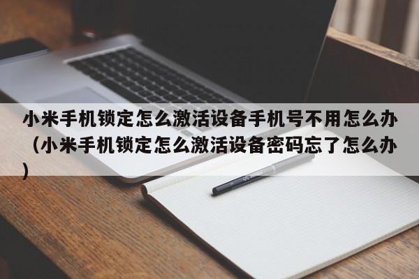 小米手机锁定怎么激活设备手机号不用怎么办（小米手机锁定怎么激活设备密码忘了怎么办）-第1张图片-晋江速捷自动化科技有限公司