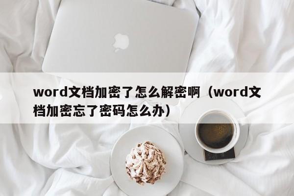 word文档加密了怎么解密啊（word文档加密忘了密码怎么办）-第1张图片-晋江速捷自动化科技有限公司